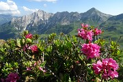 81 Scendendo da Cima Lemma vista panoramica verso la costiera Cavallo-Pegherolo